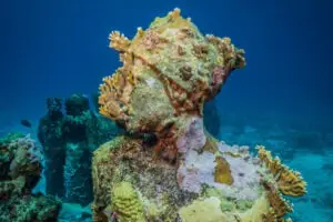 Jason deCaires Taylor Sculpture MUSA, Mexico